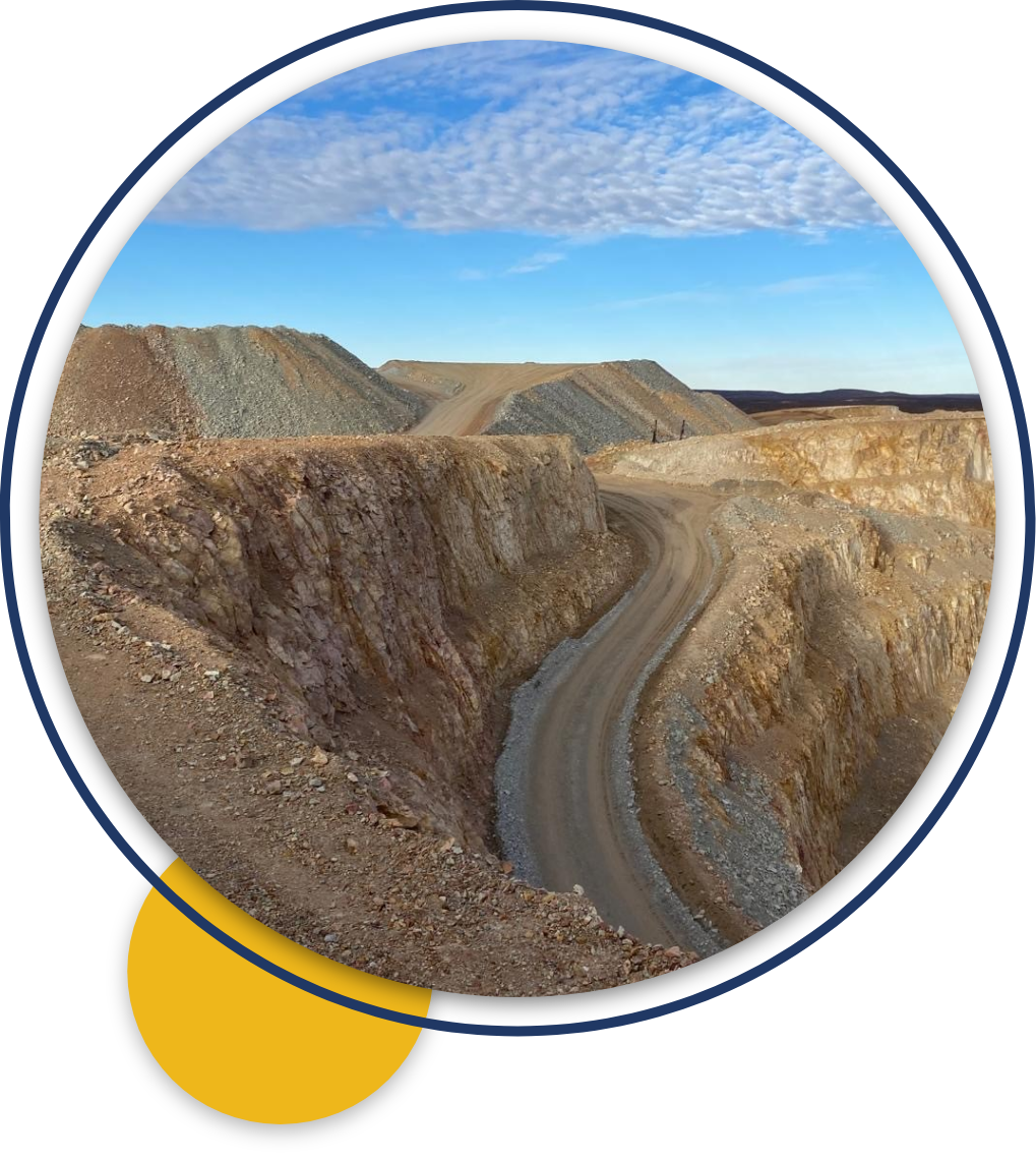 Cerrado Gold Overview